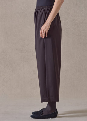 wool stretch japanese trouser (brown)