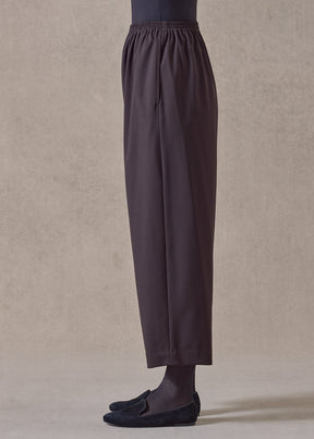 wool stretch japanese trouser (brown)