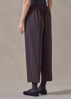 wool stretch japanese trouser (brown)
