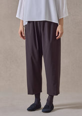 wool stretch japanese trouser (brown)