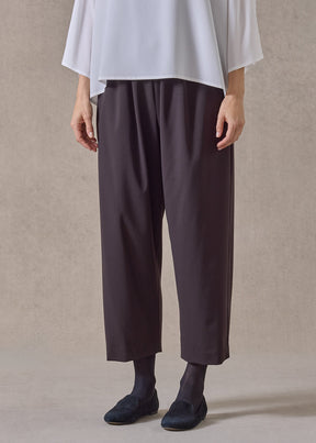 wool stretch japanese trouser (brown)